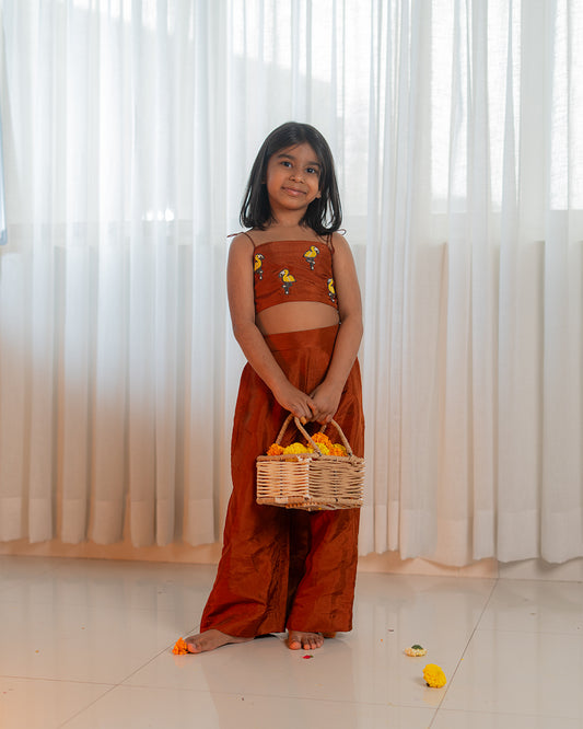 Gulab Jamun Co-ord Set