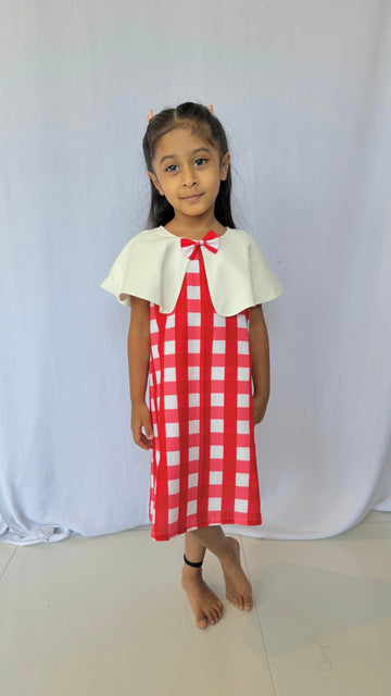 Gingham Print Dress with Cape Collar