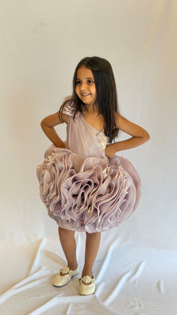 Elegant One Shoulder Rose Dress
