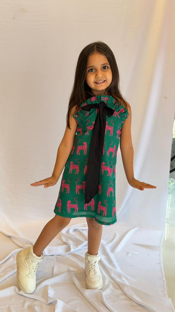 Cheetah Print A-Line Dress