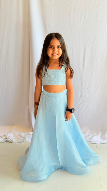 Blue Blossom Crop Top & Flared Skirt Set