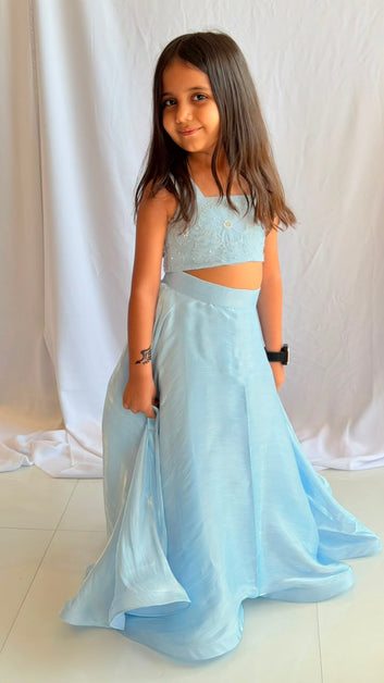 Blue Blossom Crop Top & Flared Skirt Set